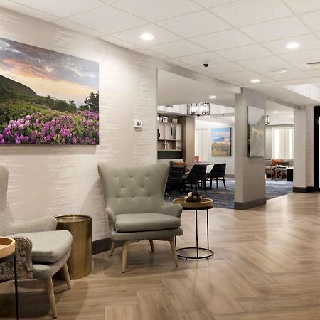 Comfort Inn&Suites Brevard Eksteriør bilde
